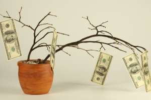 Árvore Dinheiro